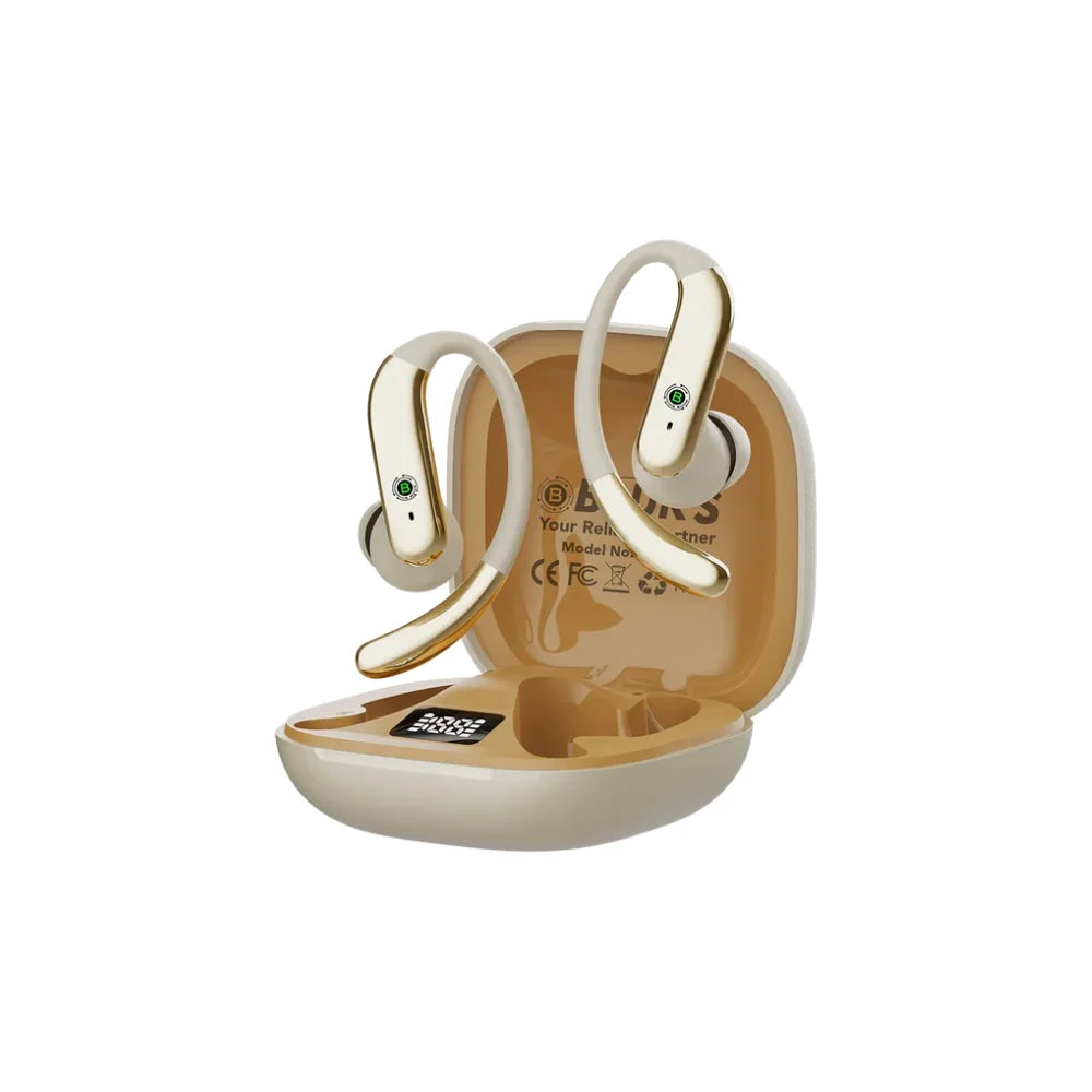 Bluks-BX-604-Earbuds
