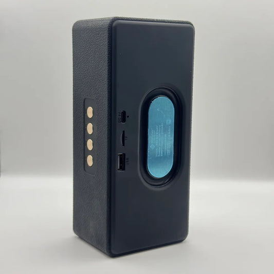Back panel of SOVO SHAKY SBS-509 speaker showing Type-C, USB, and TF card slots