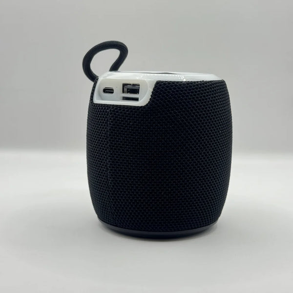 Back view of BLUK'S BX-176 speaker displaying Type-C charging port, USB port, and TF card slot