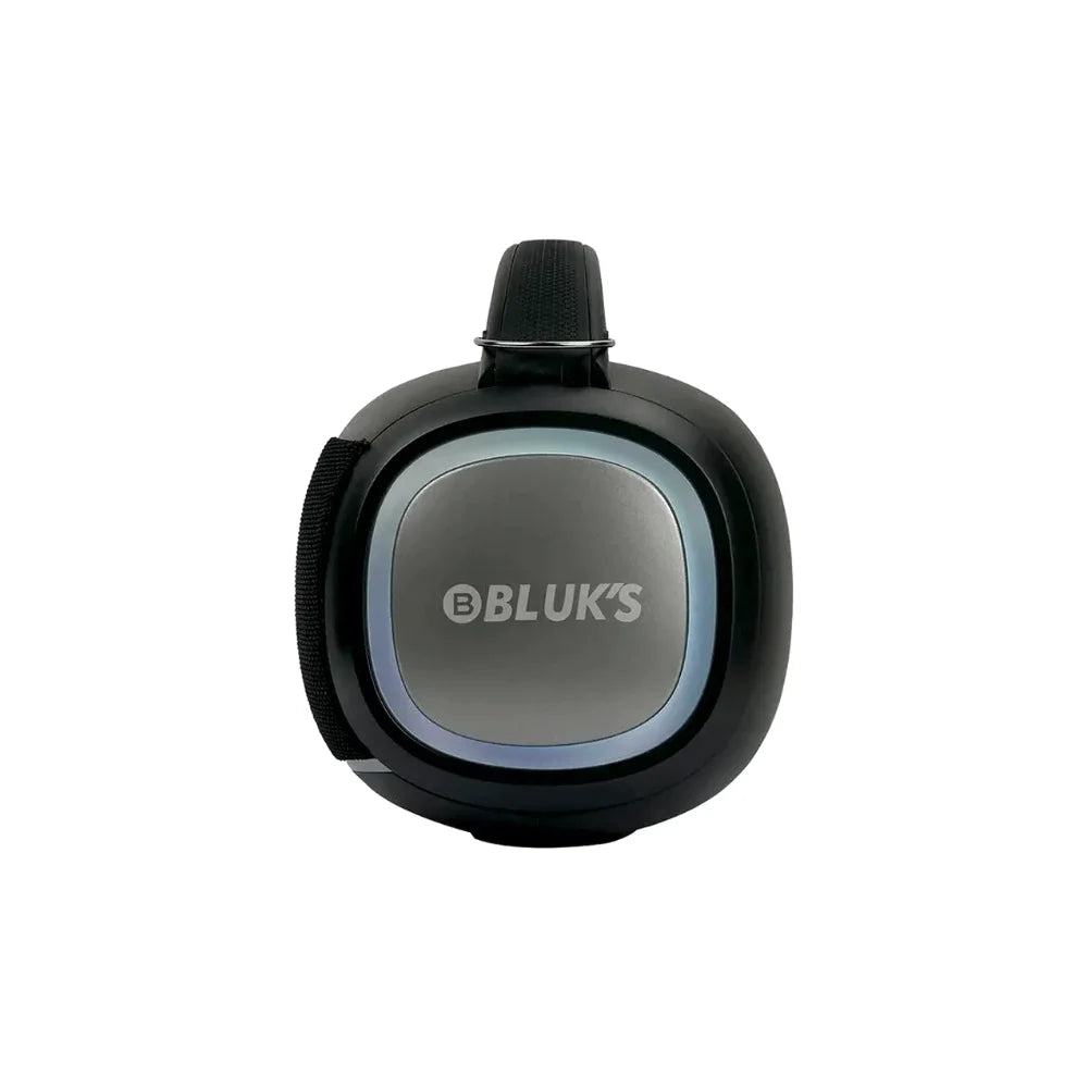 Bluks-BX-300-Speaker