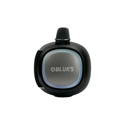 Bluks-BX-300-Speaker