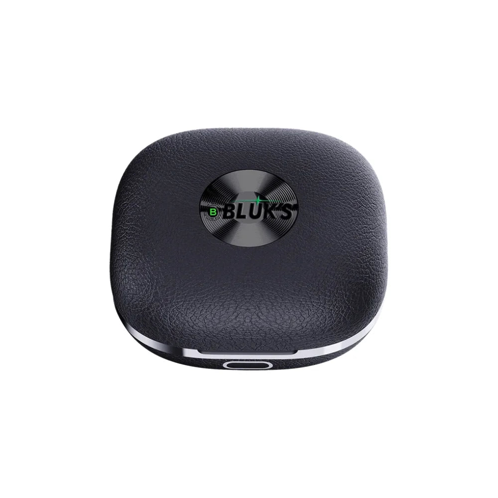 Bluks-BX-580-Earbuds