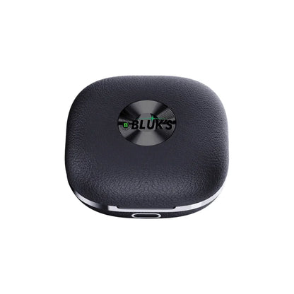 Bluks-BX-580-Earbuds