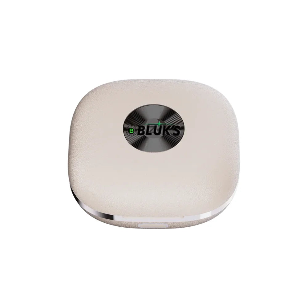 Bluks-BX-580-Earbuds