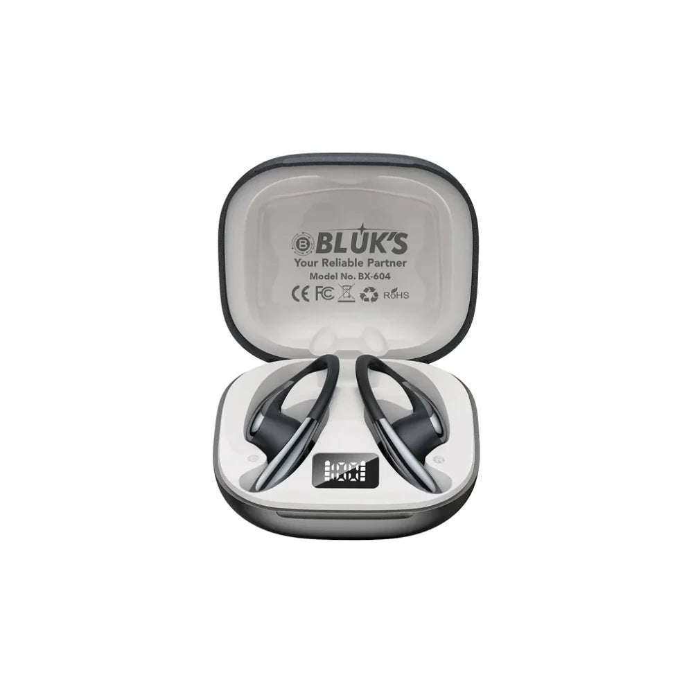 Bluks-BX-604-Earbuds
