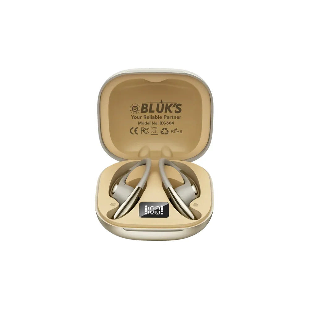 Bluks-BX-604-Earbuds