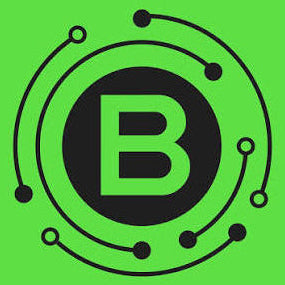 BLUKS logo