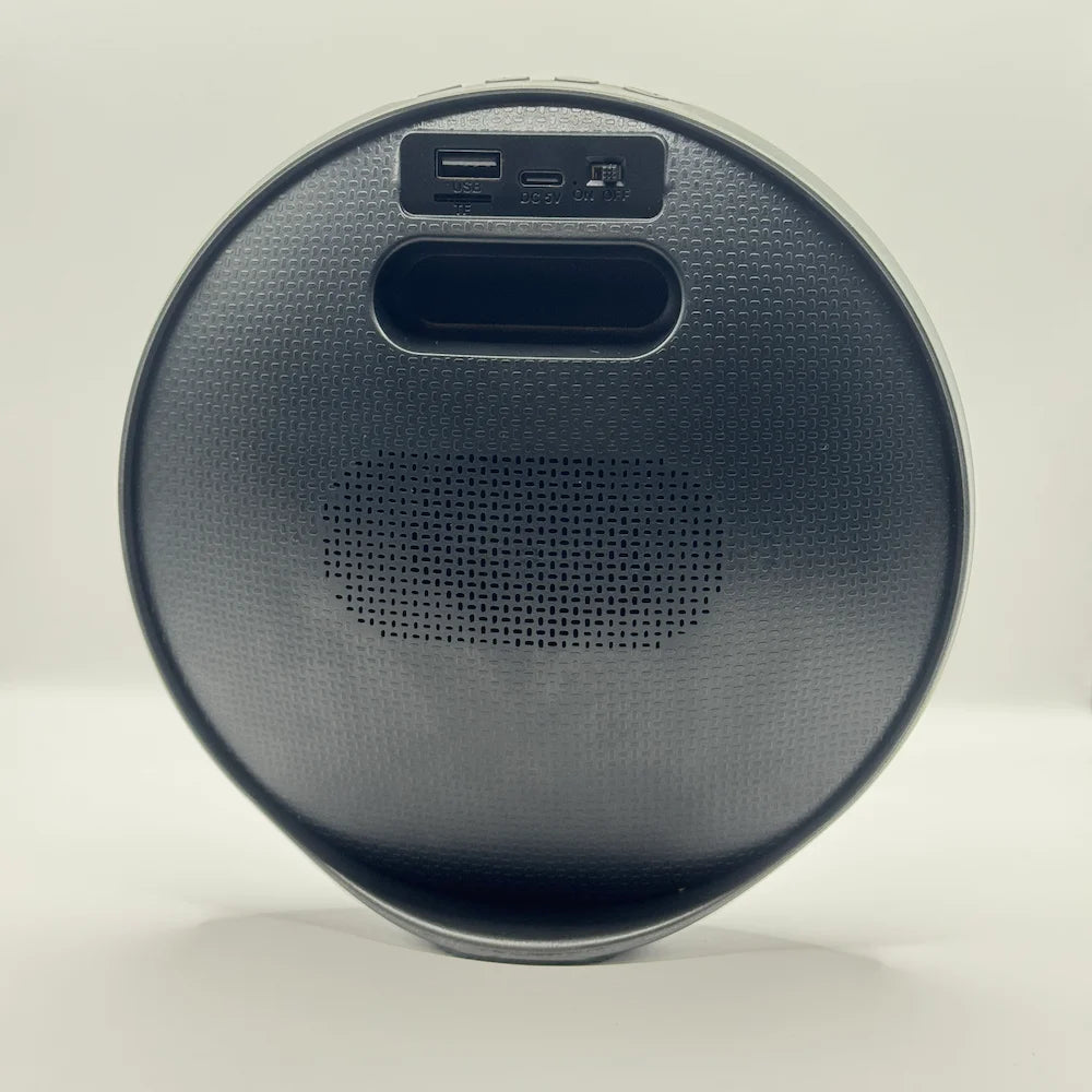 Rear panel of SOVO BEAT SBS-505 speaker with USB port, Type-C charging port, TF card slot, and power switch