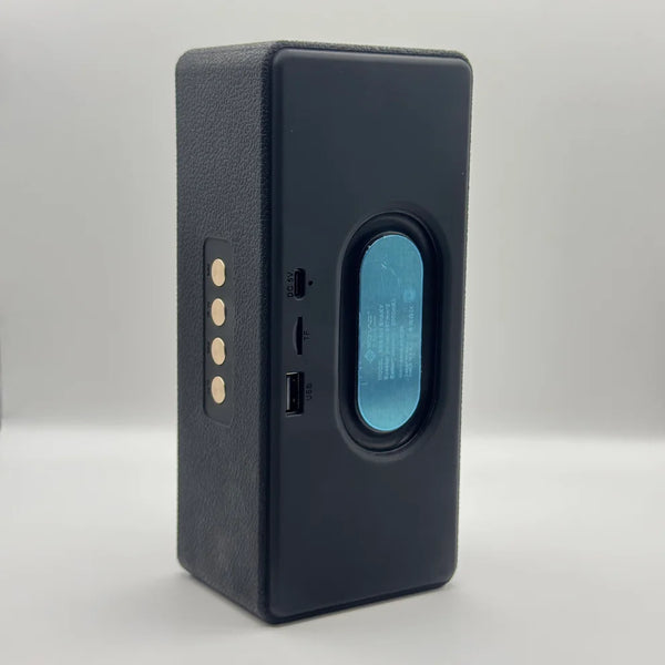 Back panel of SOVO SHAKY SBS-509 speaker showing Type-C, USB, and TF card slots